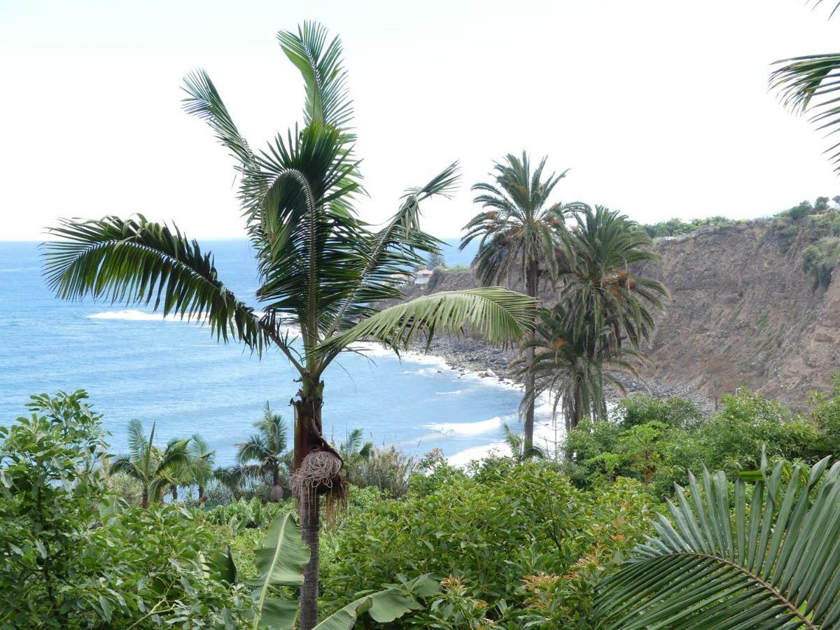 Villa Finca Dona Juana Los Realejos Exterior foto